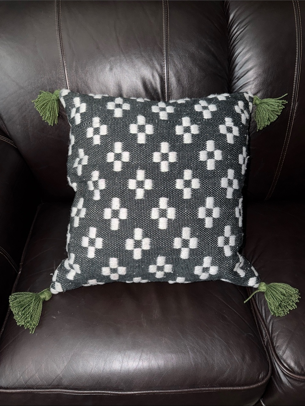 Hisar throw pillow with insert